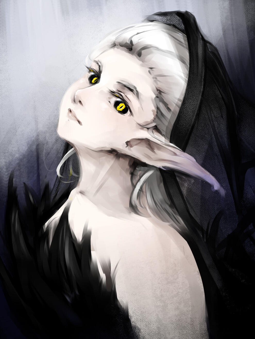 Digital art of Ader.